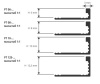 PT 06-13 L-образный профиль PROTERMINAL H= 06 мм, ПВХ окрашенный, цвет золото, длина 2700 мм